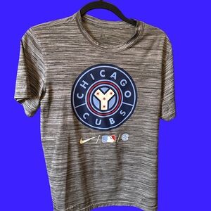 Nike DRI-FIT Gray Chicago Cubs Short Sleeve Tee